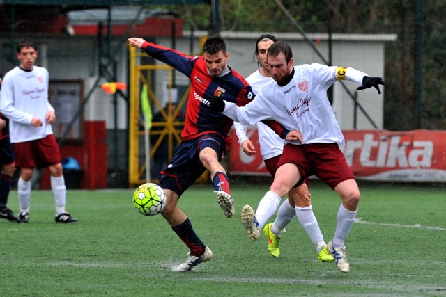 de mattei alessio